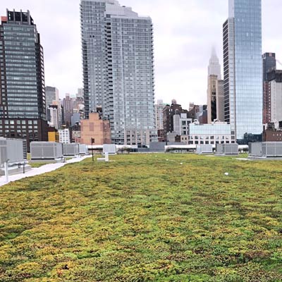 green roof material